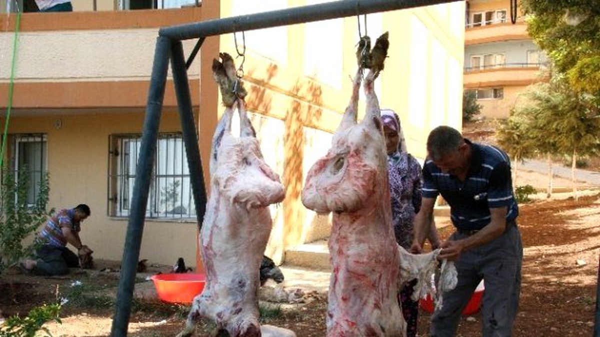 Kilis\'te Kurban Kesen 30 Kişi Hastanelik Oldu