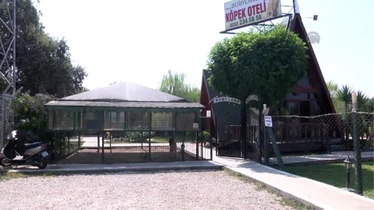 Köpeklere "5 Yıldızlı" Bakım