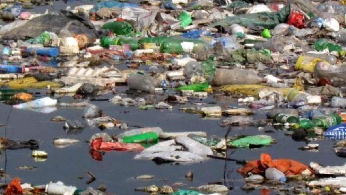 Nature Massacre: Thousands Of Tons Of Waste İn Aegean Waters