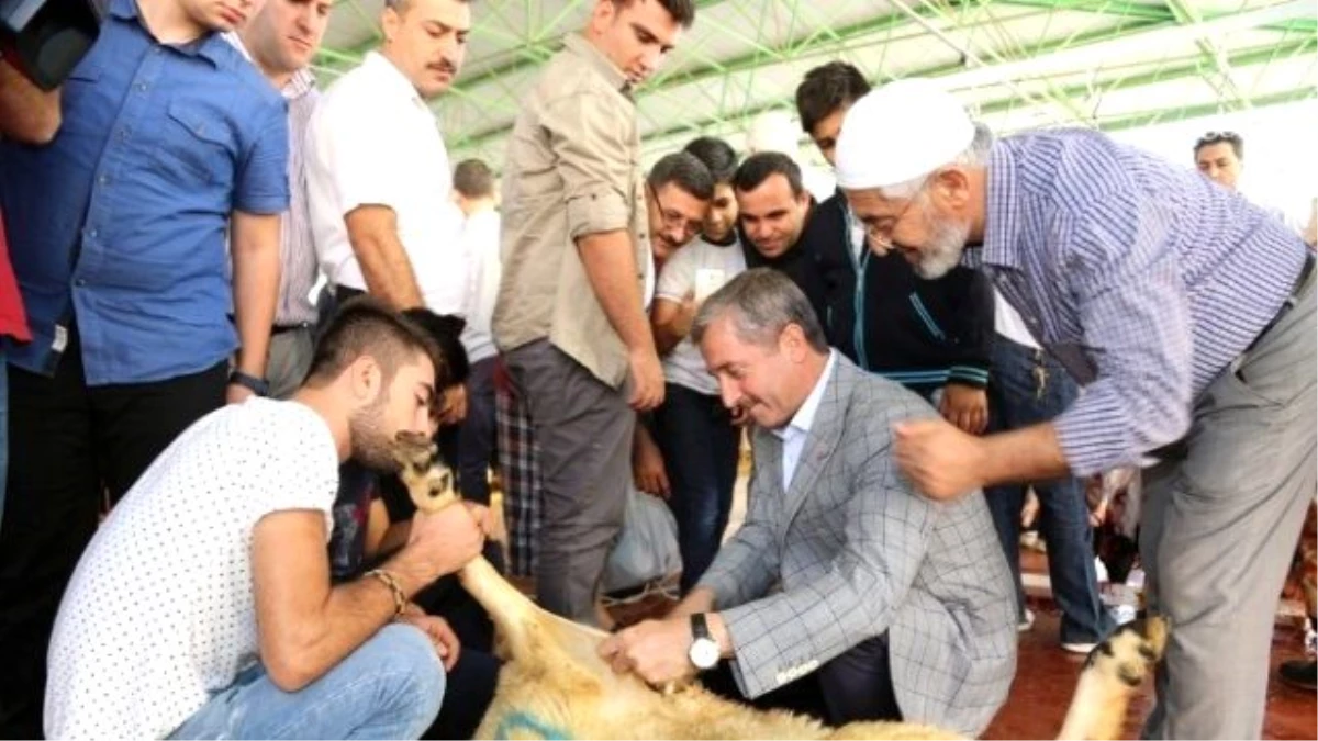 Şahinbey Belediye Başkanı Tahmazoğlu Kurban Kesim Alanlarını Ziyaret Etti
