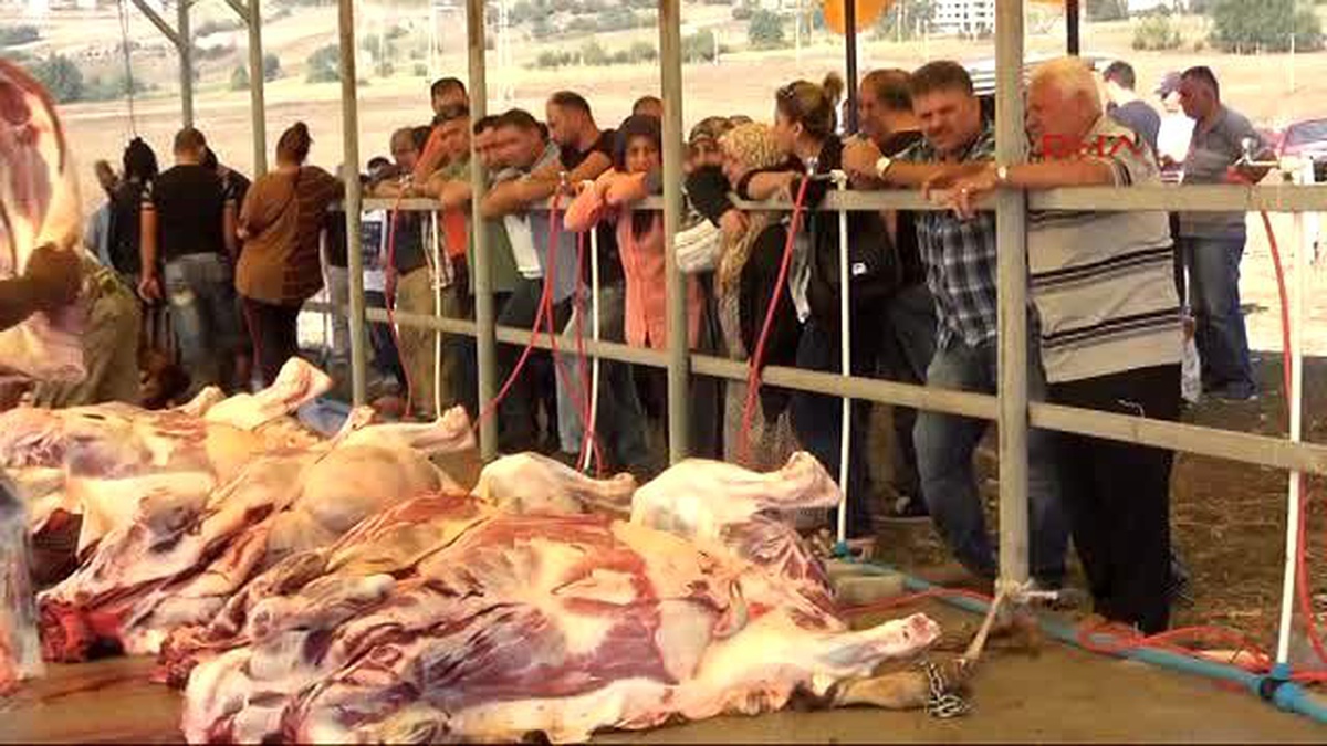 Samsun?da Kurban Kesimi Manzaraları