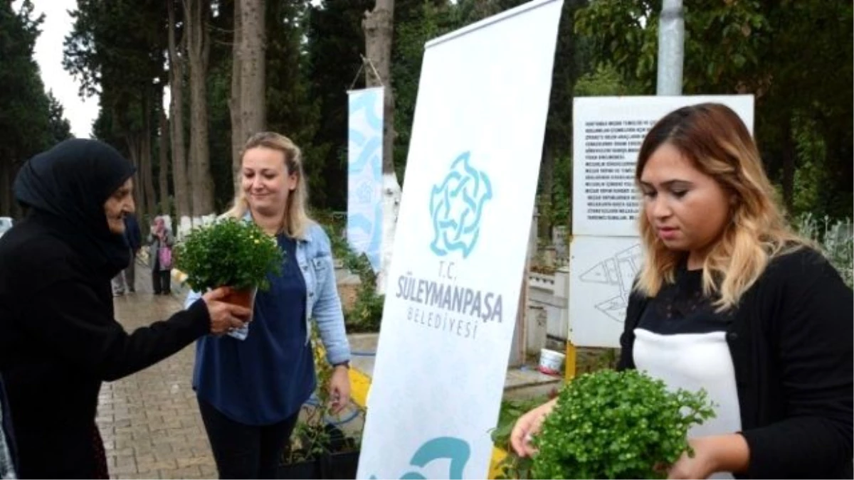 Süleymanpaşa Belediyesi, Şehir Mezarlığında Gül ve Kasımpatı Çiçeği Dağıttı