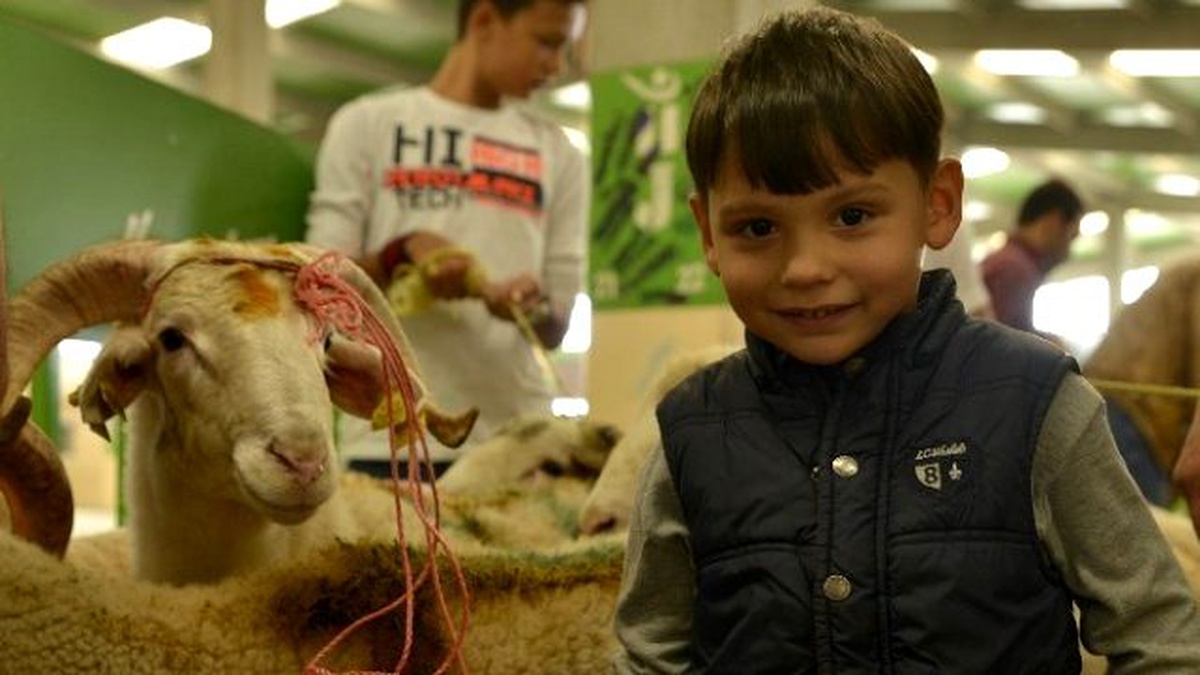 Tepebaşı\'nda Kurban Sağlıklı ve Huzurlu Geçti