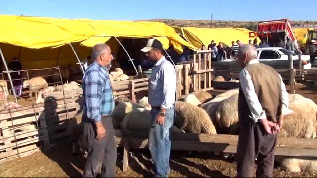Yozgat Acemi Kasaplar Mesai Yaptı 35 Yaralı
