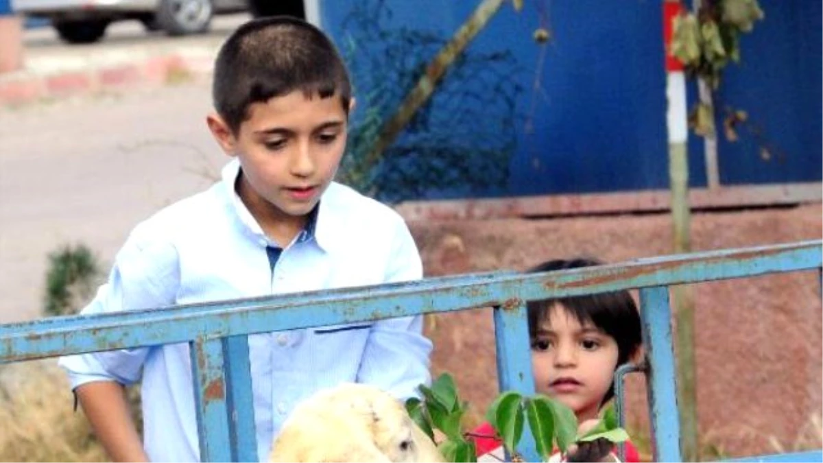 Yozgat\'ta Yetim Çocuklar İçin 350 Kurban Kesildi