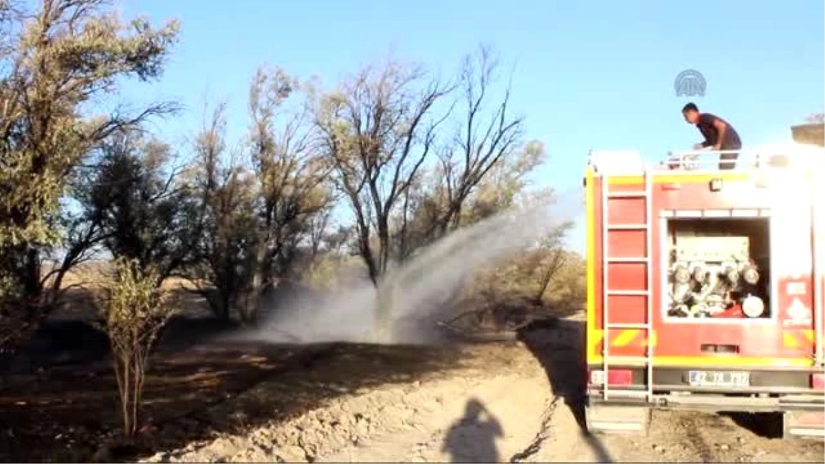 Çölleşme ve Erozyon Araştırma Merkezi Sahasında Yangın