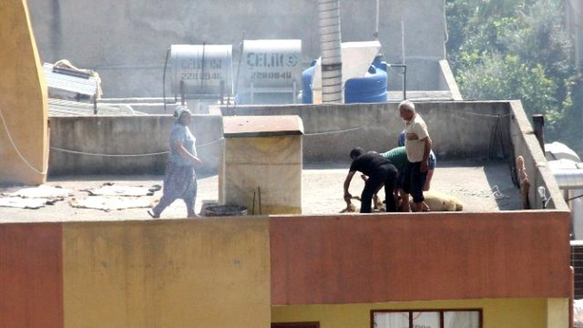 Adanalı Aile, Kurbanlarını 3 Katlı Evin Damında Kesti