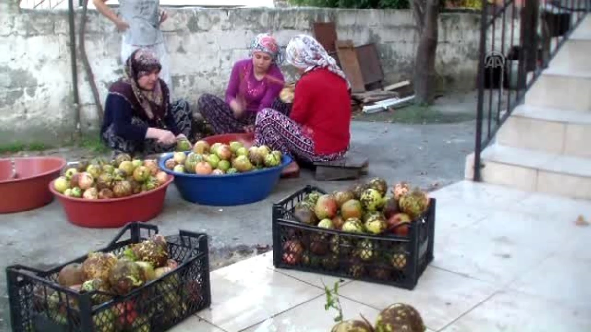 Nar Ekşisinin Zahmetli Yolculuğu Başladı