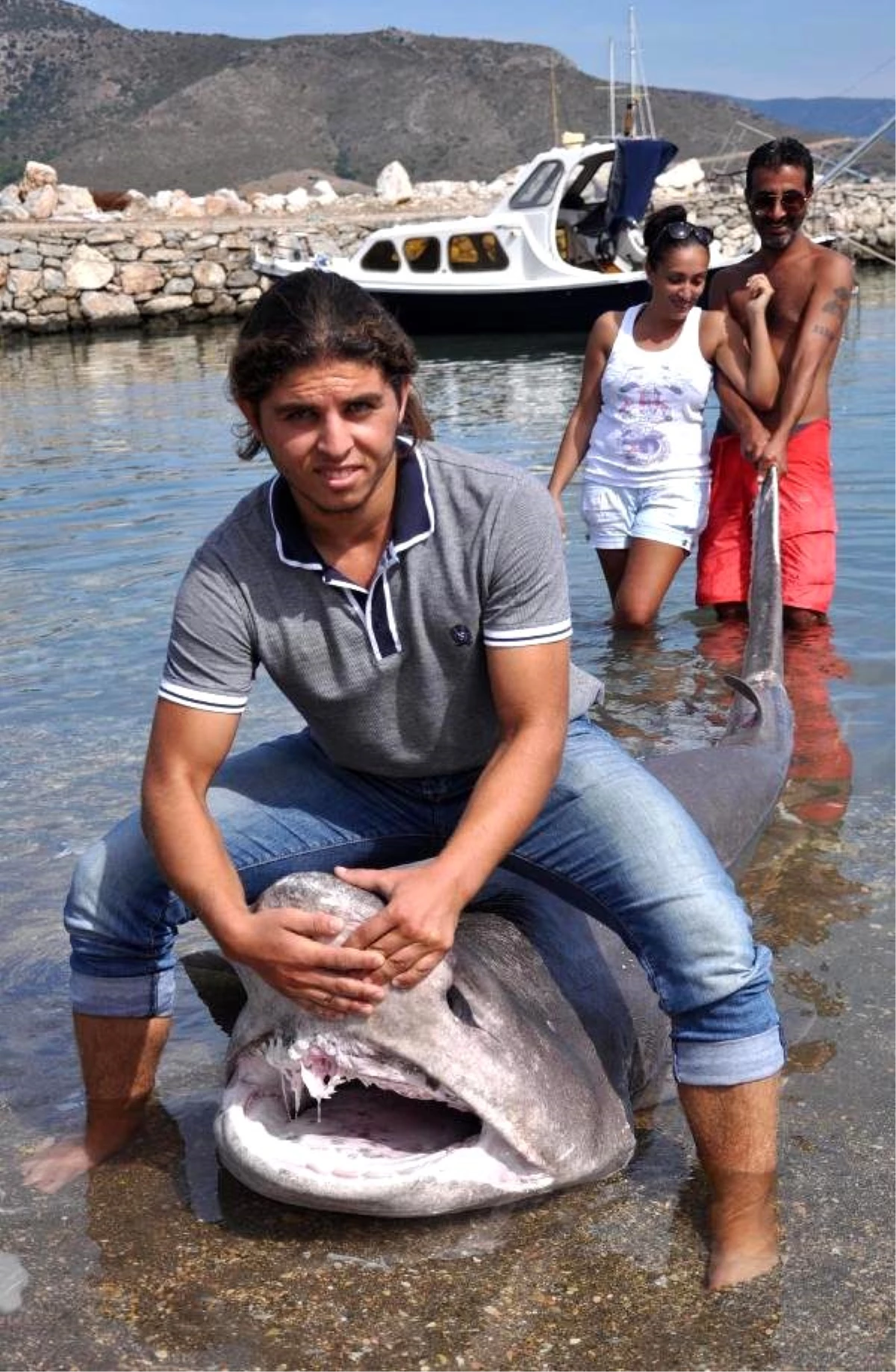 Datça\'da Ölü Köpekbalığı Sahile Vurdu