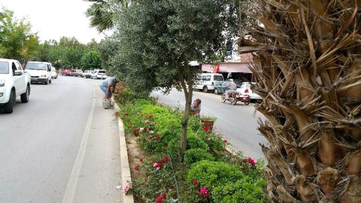 Alaşehir Yolları Çiçek Bahçesine Dönüyor