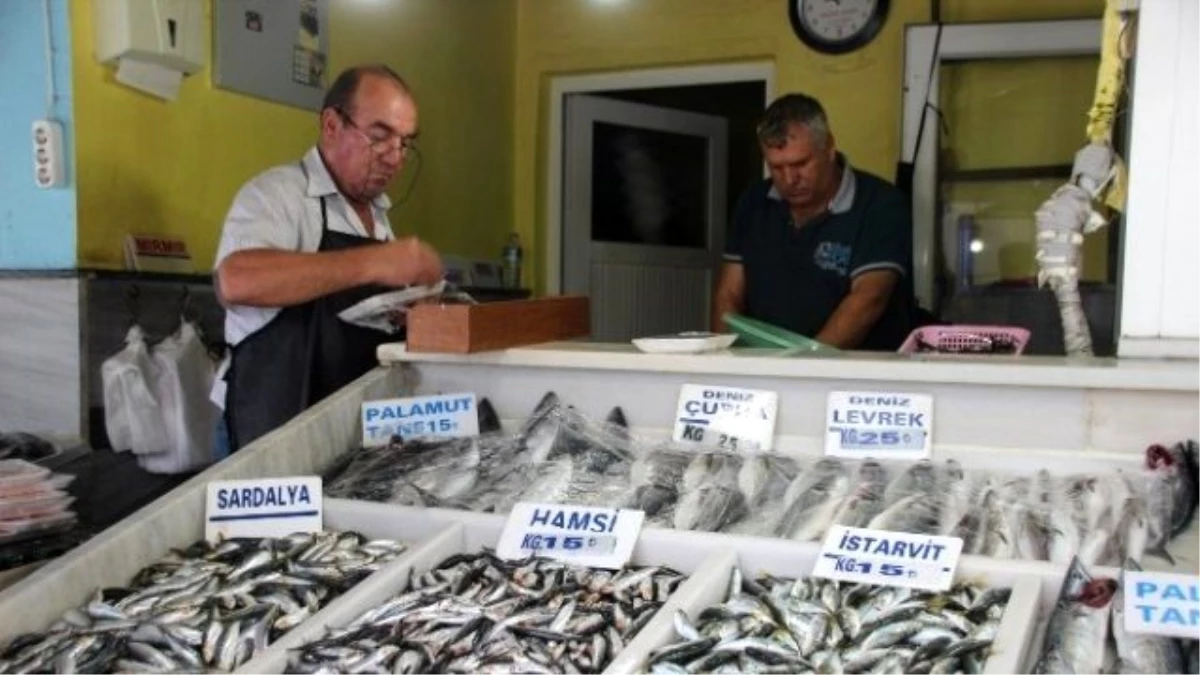 Balık Fiyatlarında Beklenen Düşüş Yaşanmıyor