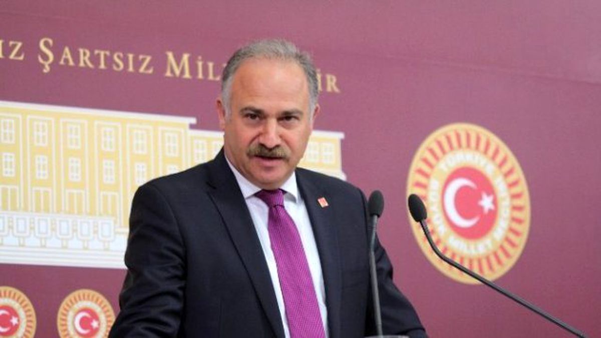 CHP Grup Başkanvekili Gök: 'Chp Meclis'te Olması Gerektiği Gibi Davranacak'