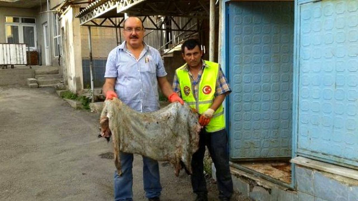 Hisarcık Thk Şubesi 5 Bin 100 TL\'lik Deri Topladı