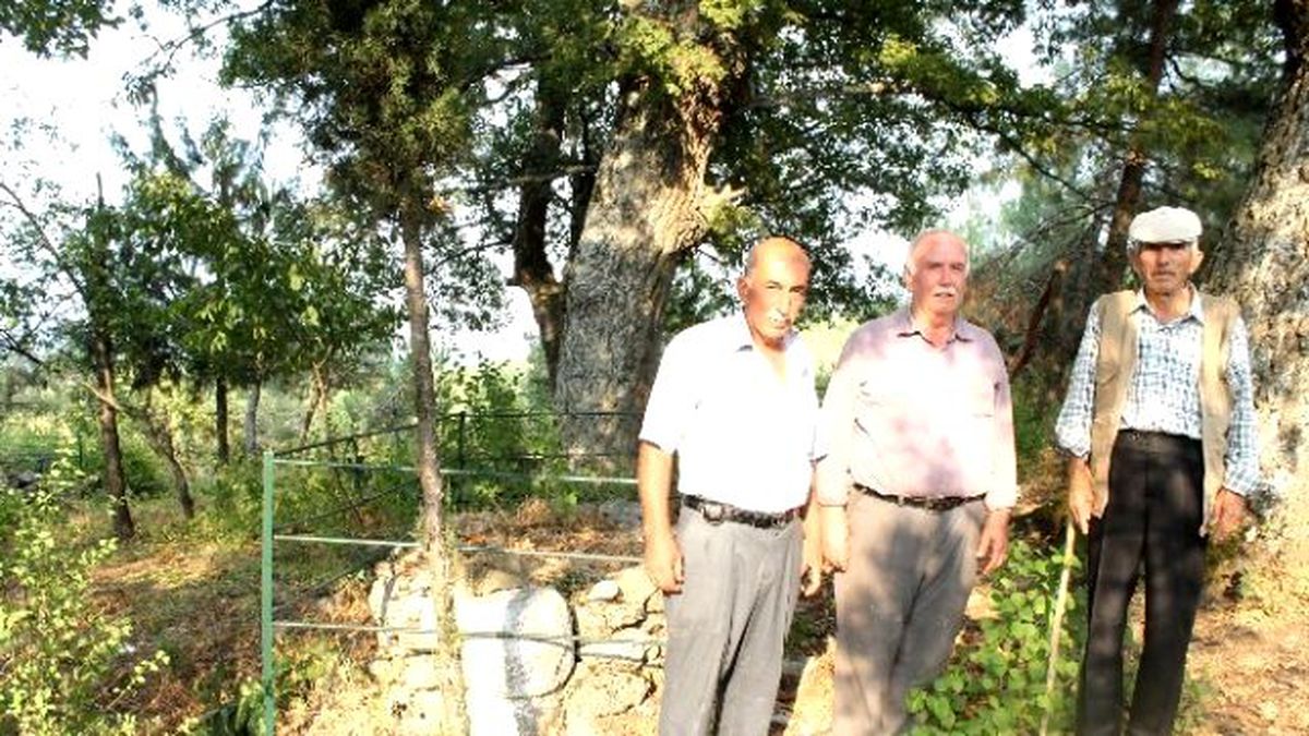 Şehit Mezarını Kazan Definecileri Şaşkına Uğratan Manzara