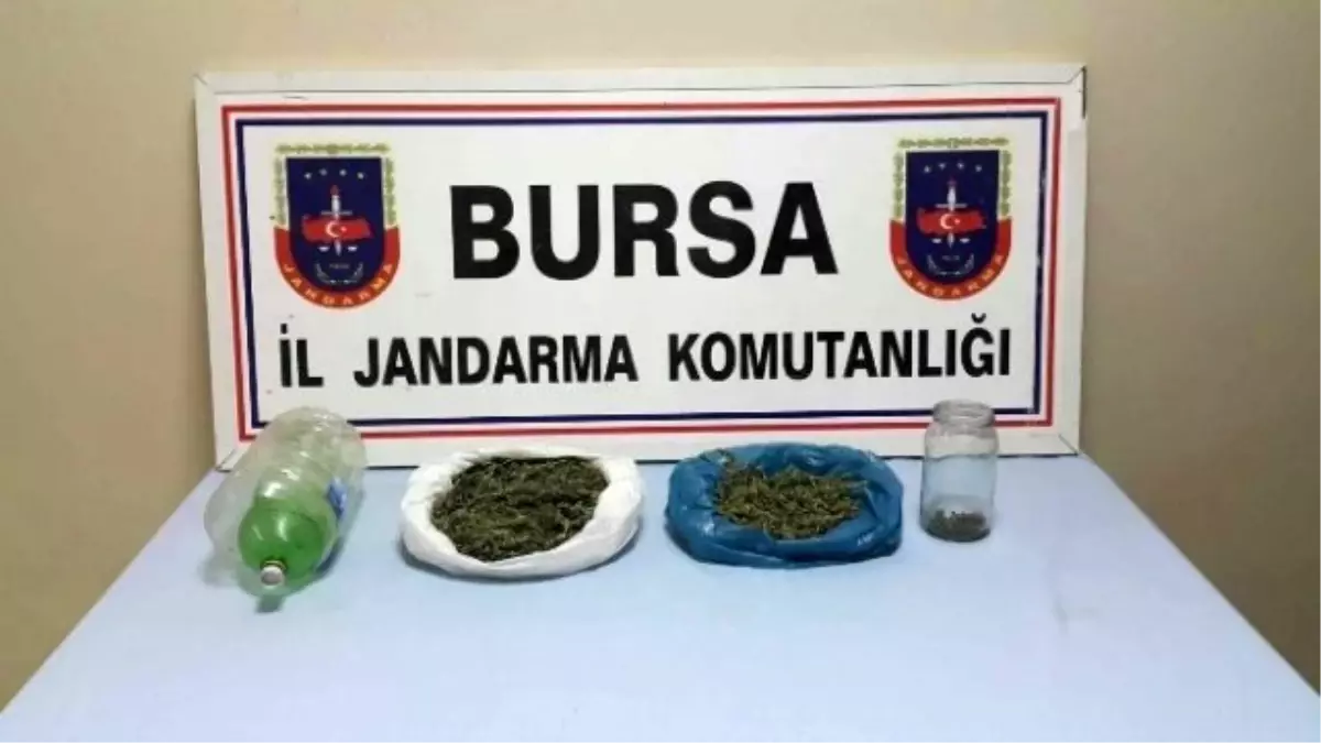 Bursa\'da İki Ayrı Operasyonda 835 Gram Esrar Ele Geçirildi