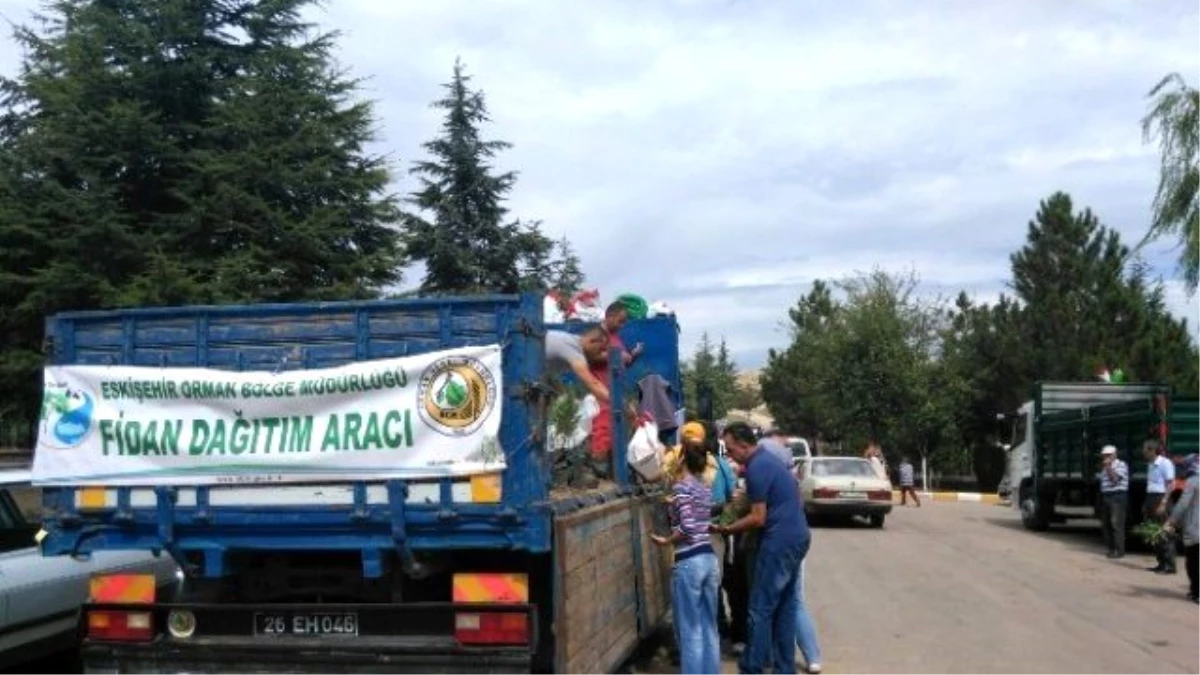 Eskişehir\'de 30 Bin Sedir ve Karaçam Fidanı Ücretsiz Dağıtıldı