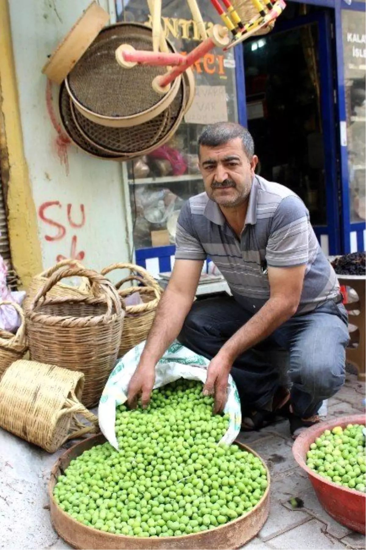 Kilis\'te Sofralık Zeytin Piyasada