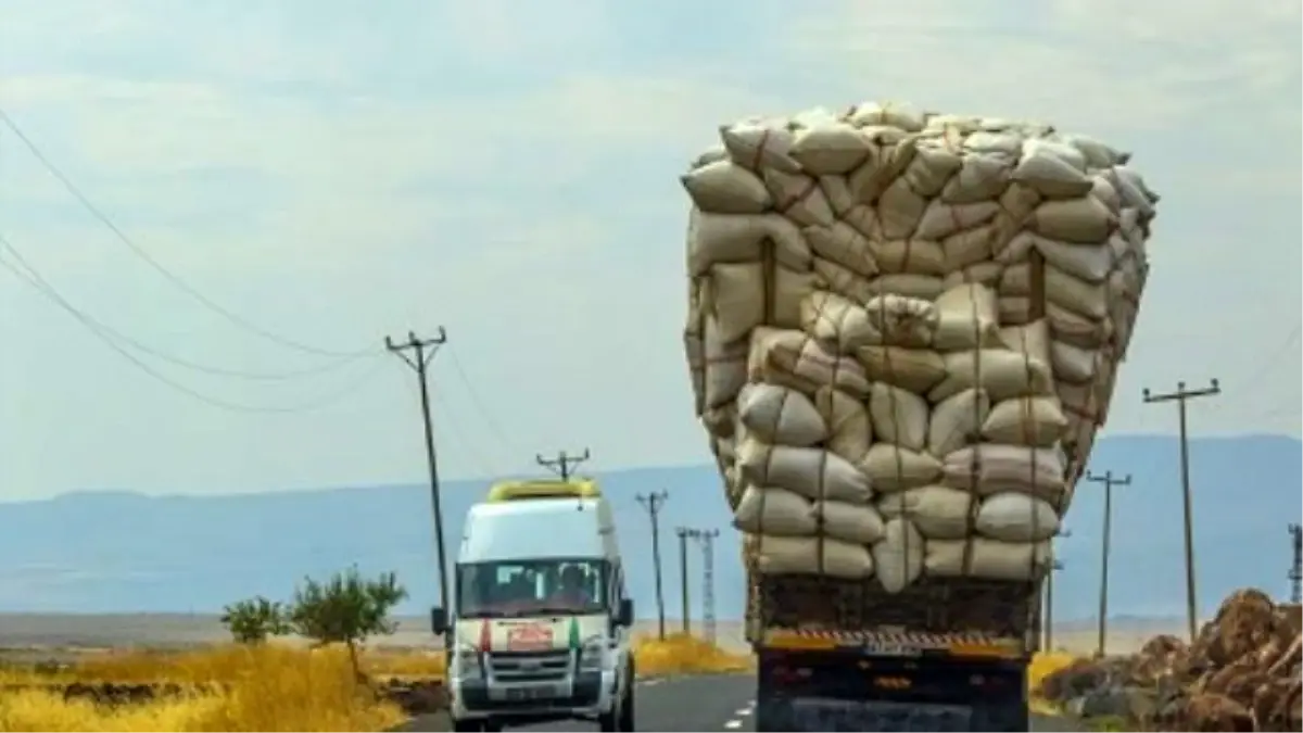 Trafikte Sonbahar Canavarları