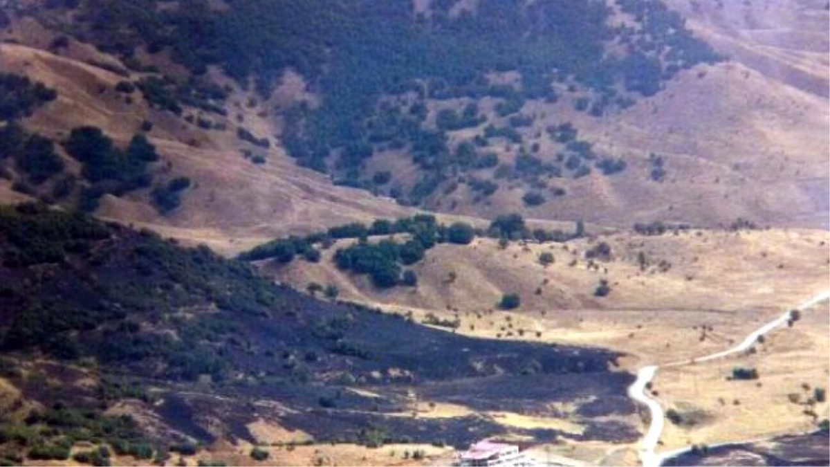 Bitlis\'teki Hava Destekli Operasyonda 6 Terörist Etkisiz Hale Getirildi