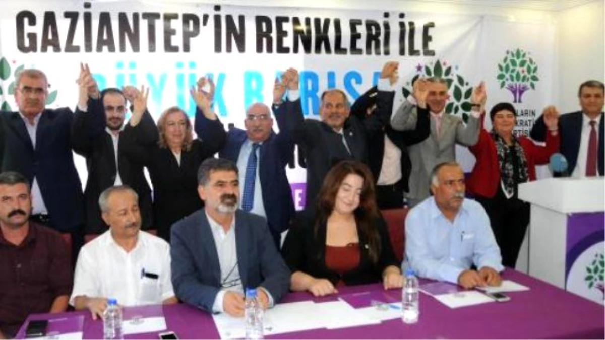 Hdp\'li Toğrul: 1 Kasım\'da Halk İradesini Yine Meclise Taşıyacağız