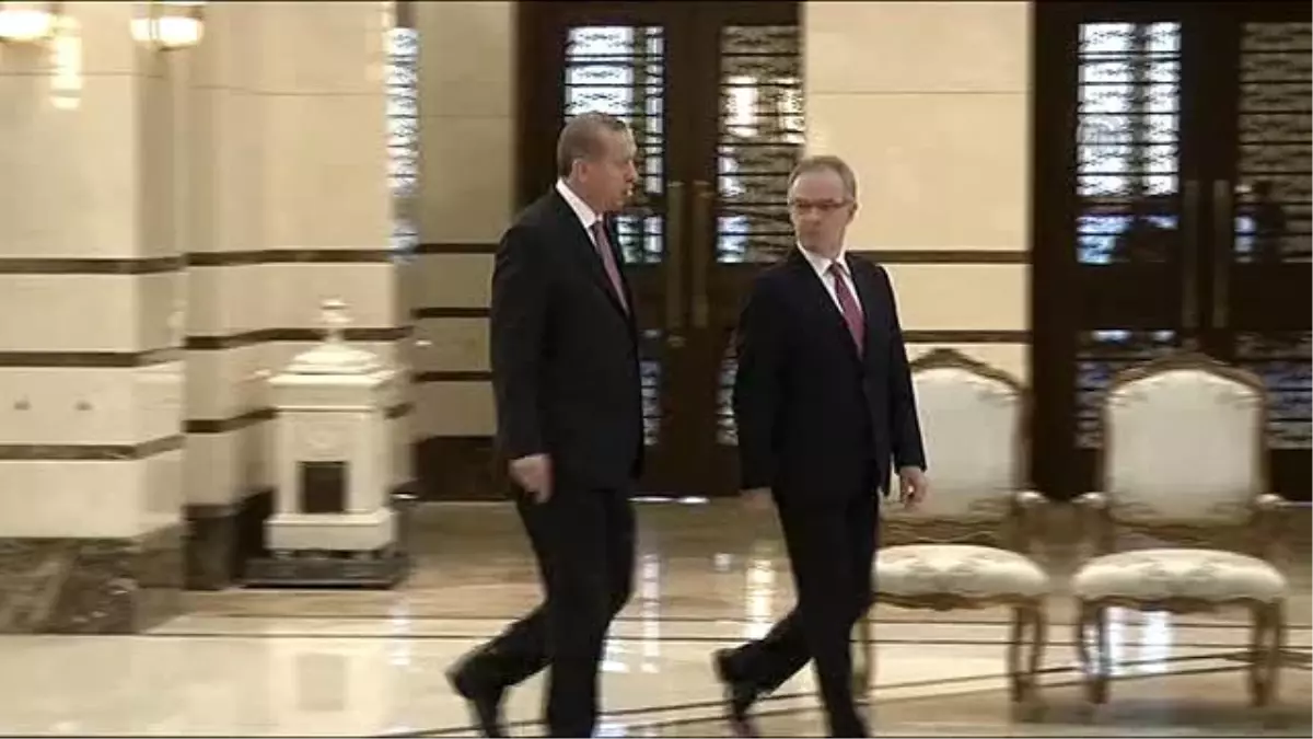 Hollanda Büyükelçisi Rij, Erdoğan\'a Güven Mektubu Sundu