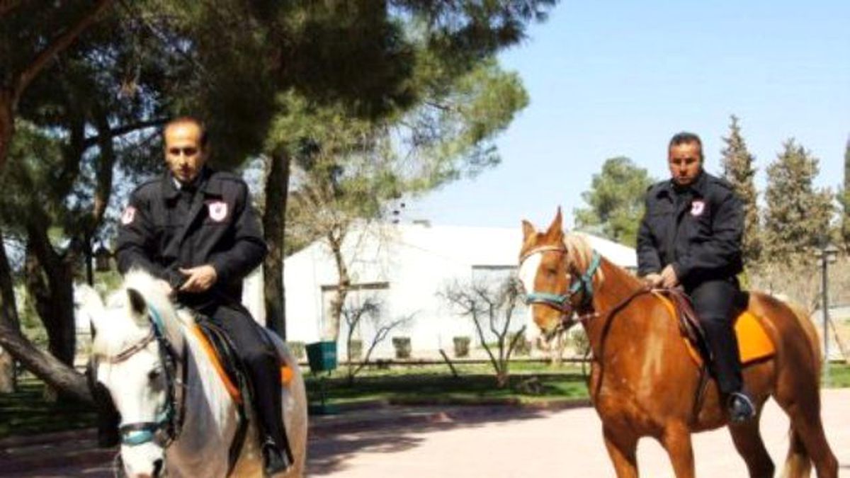 Özel Güvenlik Hizmetlerinde At ve Köpek Kullanılabilecek