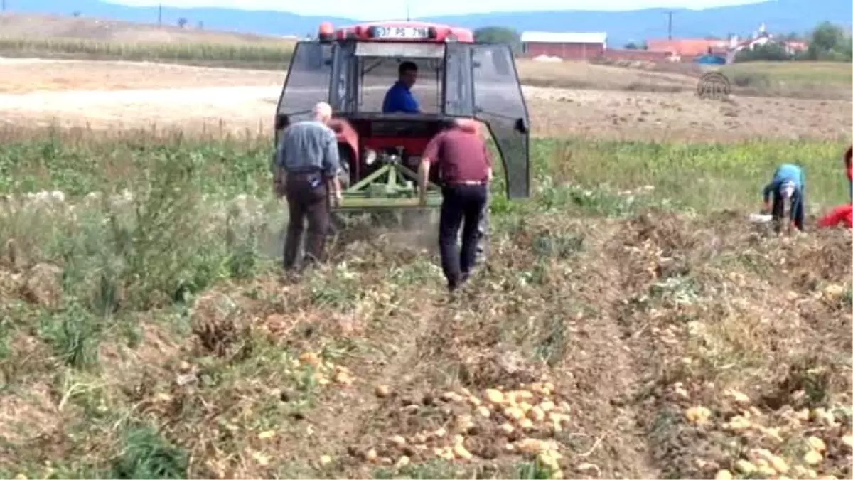 Devrekani\'de Patates ve Tarla Günü Etkinliği Düzenlendi