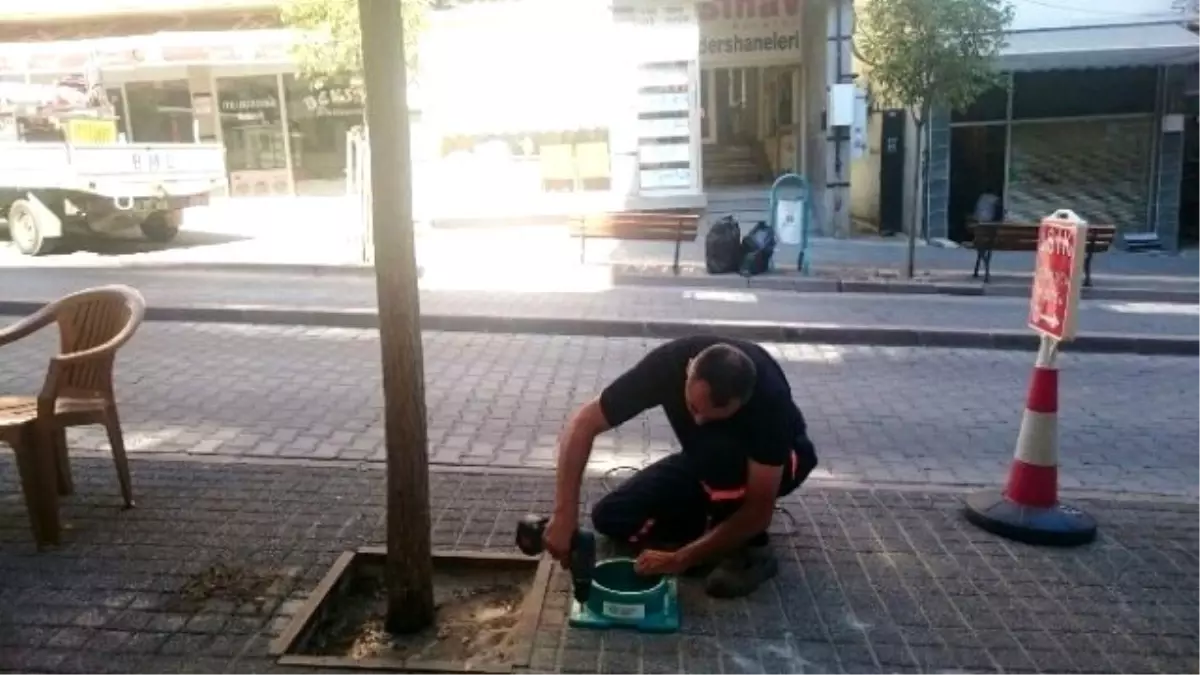 Sokak Hayvanlarının Su Kapları Yenilendi