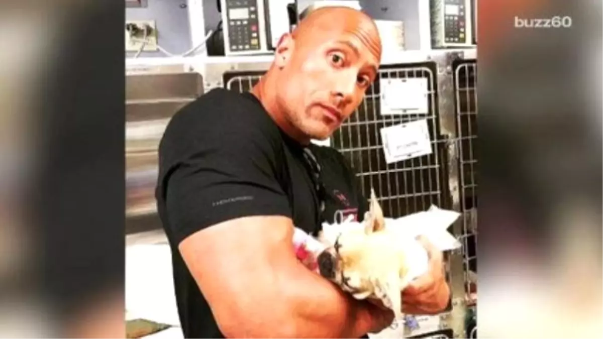 The Rock\' Says Goodbye To His Beloved Dog İn Touching Instagram Post