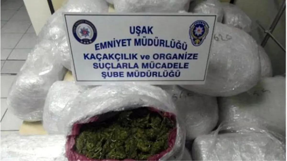 Uşak\'ta 134 Kilo Esrar Yakalandı (2)