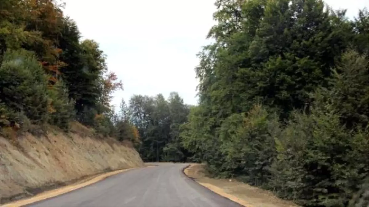 Yedigöller Yolu Asfaltlandı