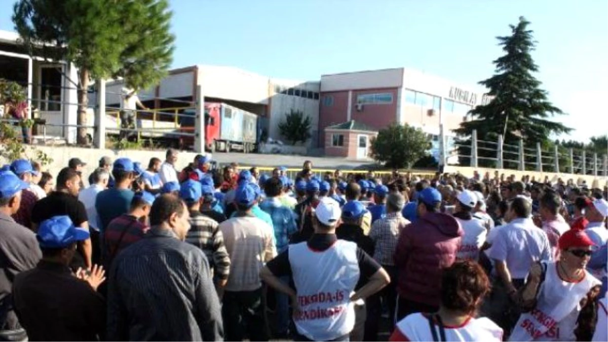 Aliağa\'da Boya Fabrikası İşçilerinin Eylemi Sürüyor