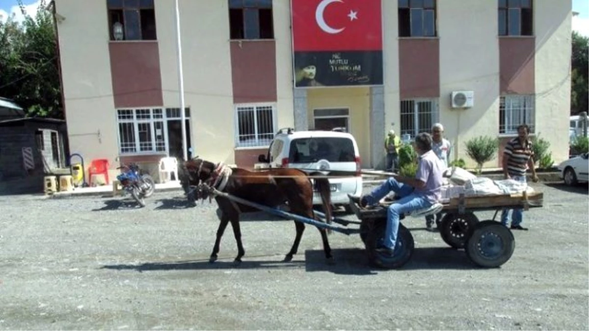 At Arabalı Rögar Kapağı Hırsızlarına Suçüstü