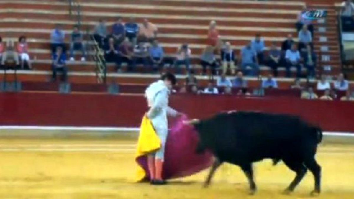 Boğa, Matadoru Yere Serdi