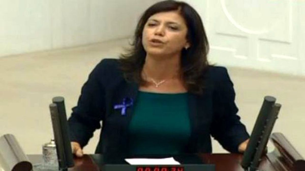 HDP'li Vekil: Bir Kadın Olarak Yakışmıyor Size, Vicdanınızı Dinleyin