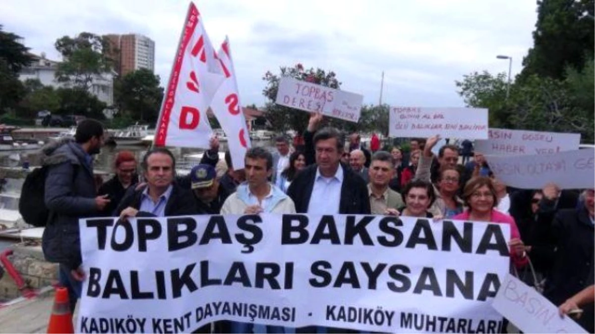 Kadıköy Kent Dayanışması " Kurbağalıdere\'de Balık Falan Görmedik"