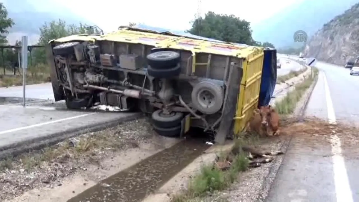 Amasya'da Trafik Kazası: 12 Yaralı