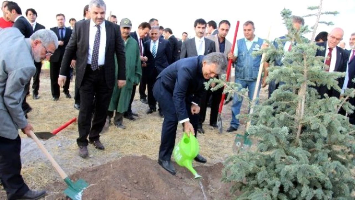 11. Cumhurbaşkanı Abdullah Gül Hatıra Ormanına Ağaç Dikti