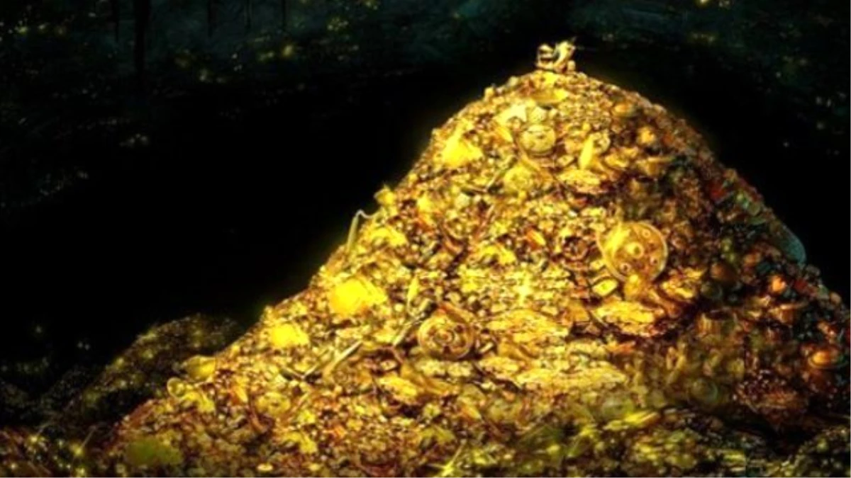 "Ardahan\'da 2,5 Ton Altın Bulundu" İddiası Yalanlandı