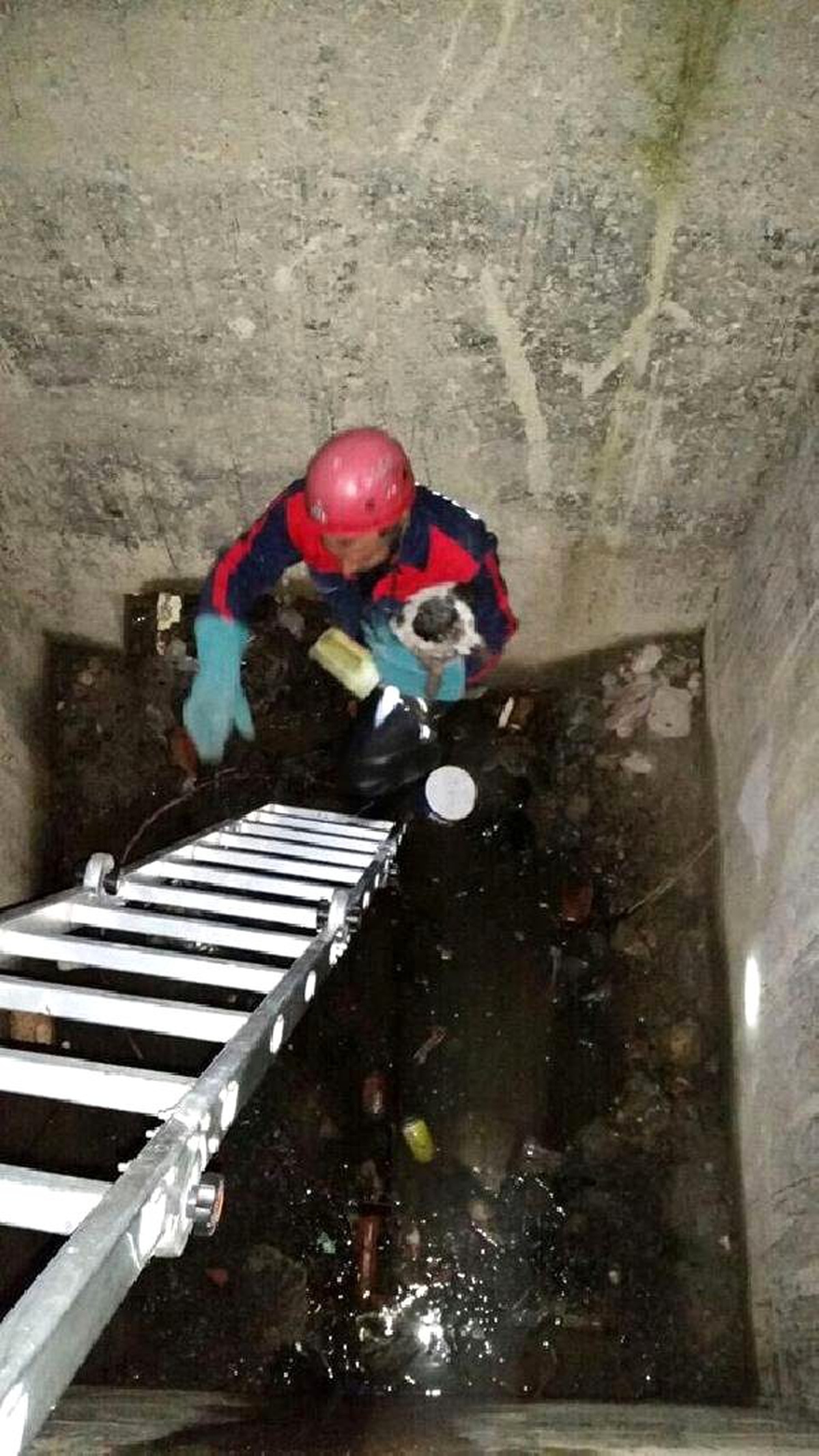 Sulama Kanalına Düşen Yavru Köpeği İtfaiye Kurtardı