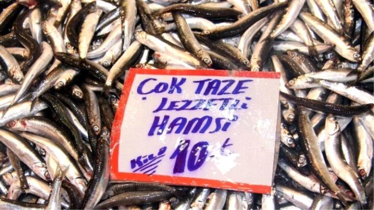 Balık Azaldı, Fiyatları Tavan Yaptı