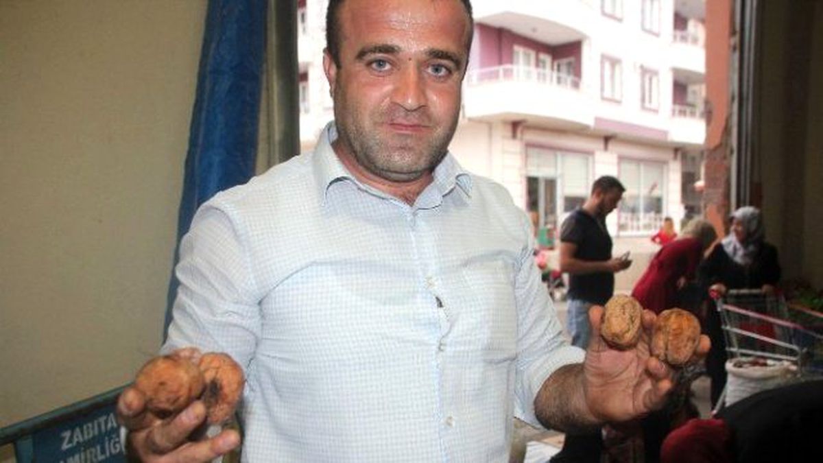 Bilecik\'te Taze Ceviz Pazarda Yerini Aldı