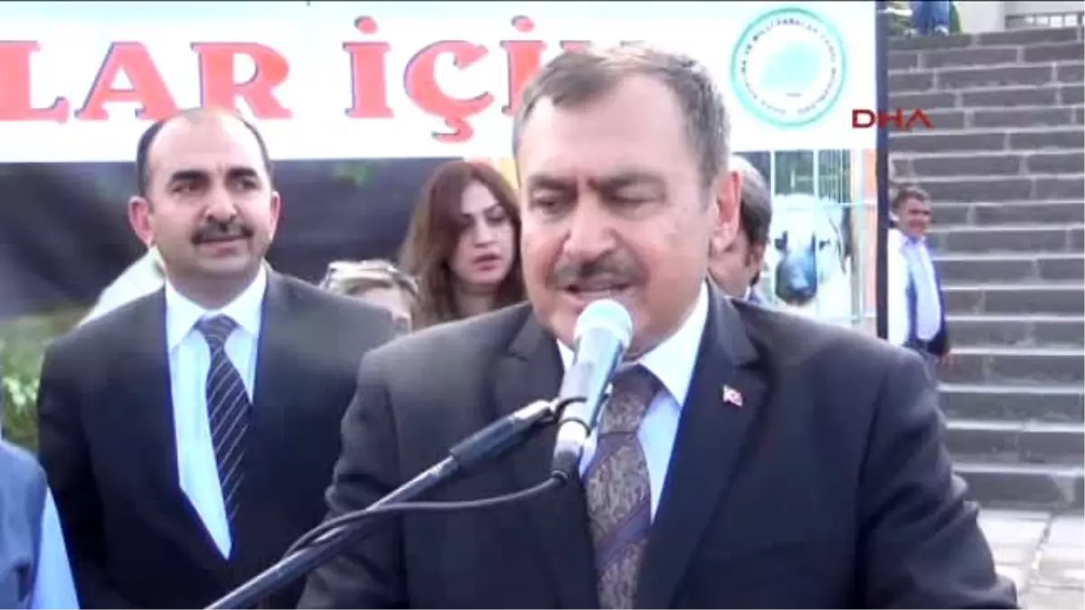 Bakan Eroğlu Kedilere İlgi Gösterdi