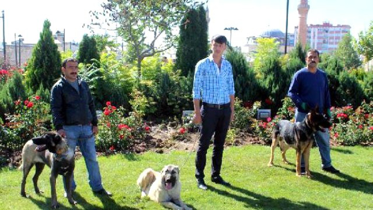 Belediye Hayvan Haklarına Dikkat Çekmek İçin Stant Açtı