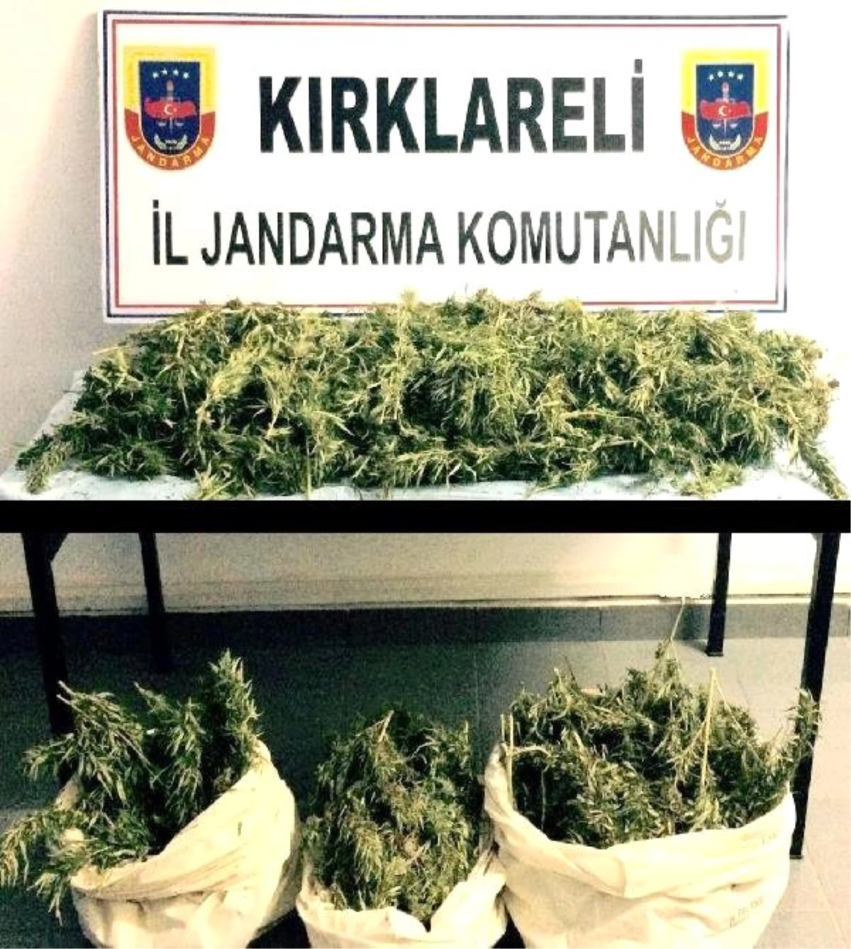 Kırklareli\'de 13 Kilo Esrara 2 Tutuklama