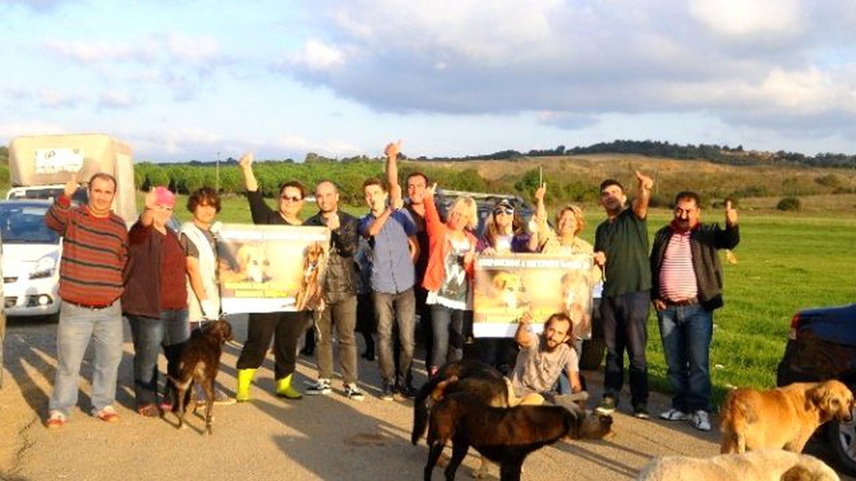Tavport.com\'dan Sokak Hayvanlarına Destek