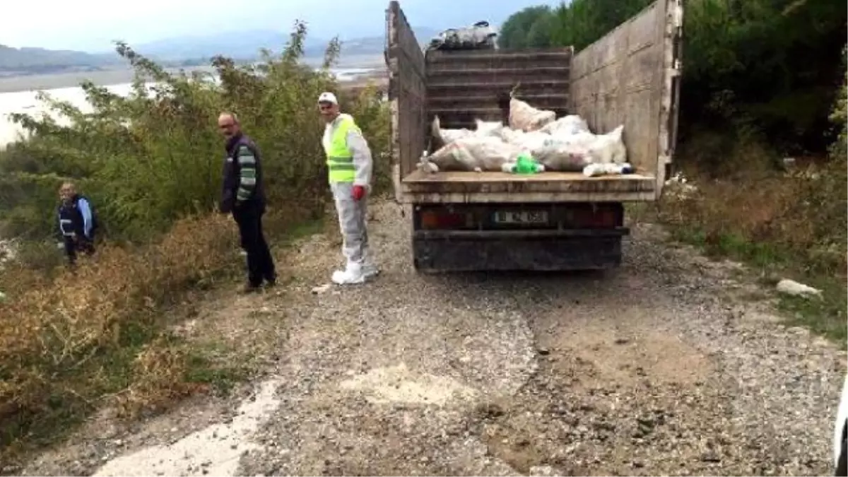 Bayramiç Barajı\'ndaki Zehirli Atıklar Sonunda Toplanıyor