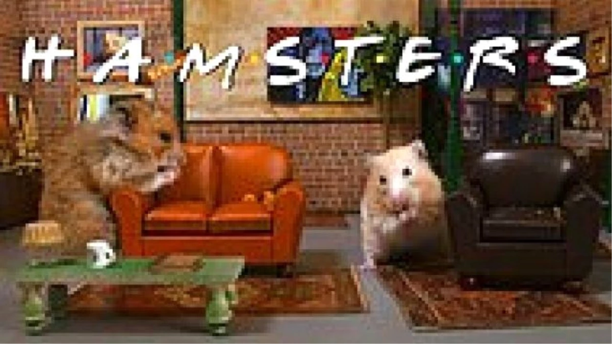 Friends\'ın Sevimli Rakibi: Hamsters!