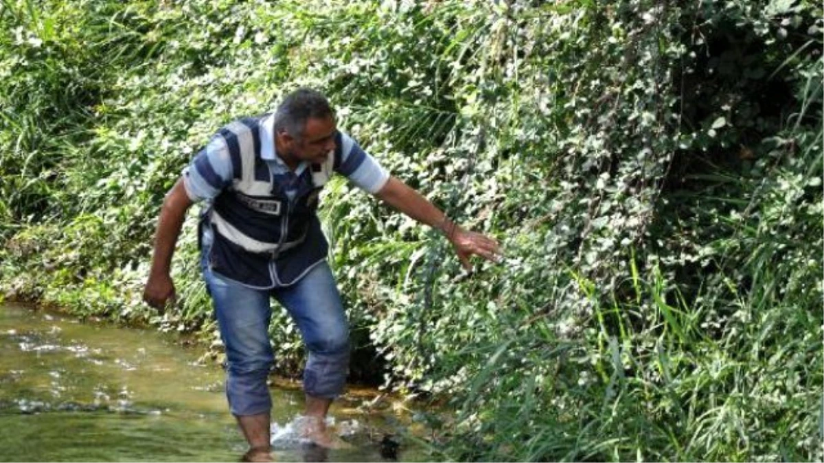 Kayıp Turisti Arama Çalışmaları Sürüyor