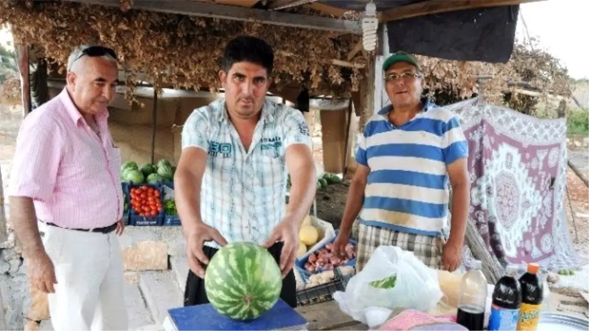 Çiftçinin Yeni Formülü "Tarla Başı Satış"